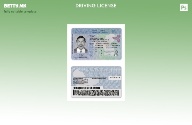 Модерен стил Canada Ontario DL ( – сегашен) шаблон